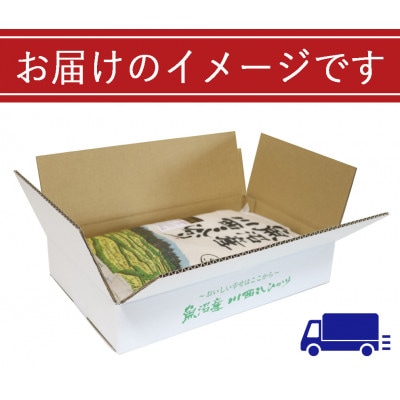 【発送月固定定期便】【先行受付10月下旬より発送】魚沼産川西コシヒカリ 5kg全6回