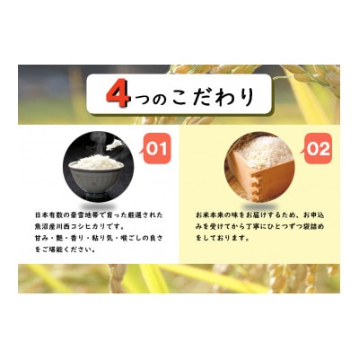 【毎月定期便】魚沼産川西コシヒカリ 精米 5kg全12回