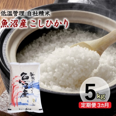 【毎月定期便】新潟県魚沼産コシヒカリ 厳選 低温管理 自社精米 5kg全3回