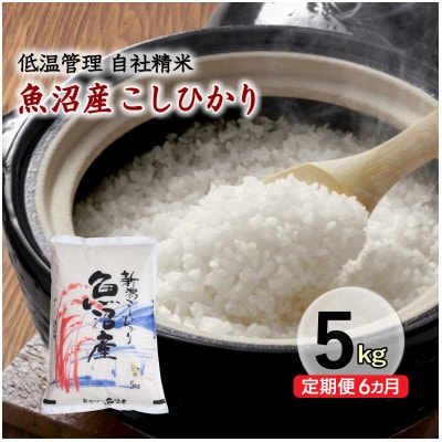 【毎月定期便】新潟県魚沼産コシヒカリ 厳選 低温管理 自社精米 5kg全6回
