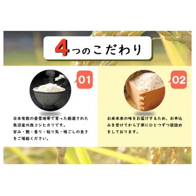 【毎月定期便】新潟県魚沼産コシヒカリ 厳選 低温管理 自社精米 5kg全6回