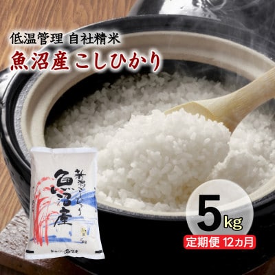 【毎月定期便】新潟県魚沼産コシヒカリ 厳選 低温管理 自社精米 5kg全12回
