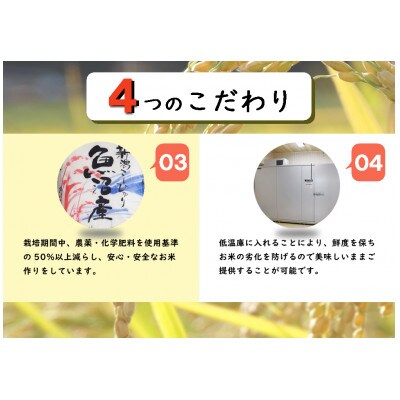 【毎月定期便】新潟県魚沼産コシヒカリ 厳選 低温管理 自社精米 5kg全12回