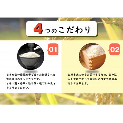 【毎月定期便】【無洗米】新潟県魚沼産 川西コシヒカリ 1合(150g)×30袋(4.5kg)全12回