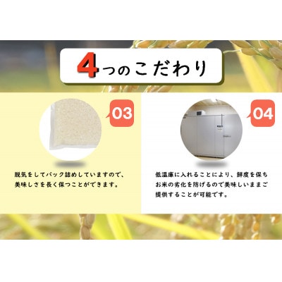 【毎月定期便】【無洗米】新潟県魚沼産 川西コシヒカリ 2合(300g)×30袋入(計9kg)全3回