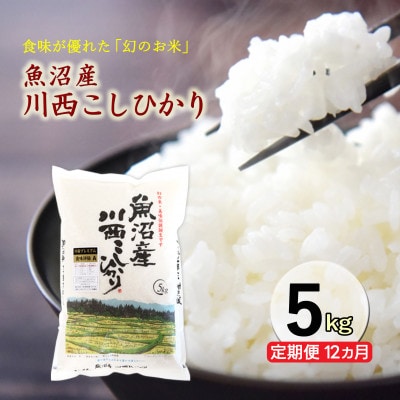 【発送月固定定期便】定期便12か月　新潟県魚沼産川西こしひかり5kg全12回