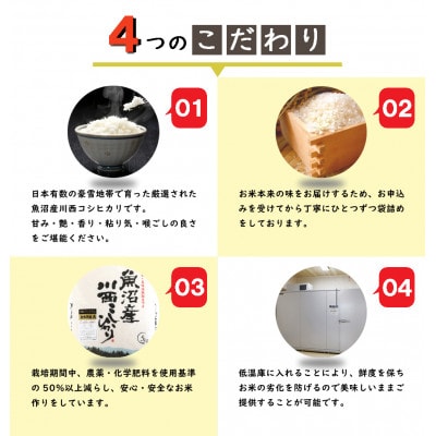 【発送月固定定期便】定期便12か月　新潟県魚沼産川西こしひかり5kg全12回