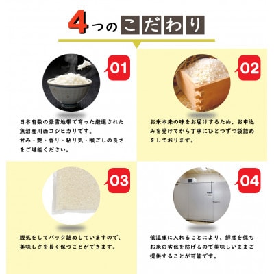 【発送月固定定期便】定期3か月　新潟県魚沼産川西こしひかり2合×10全3回