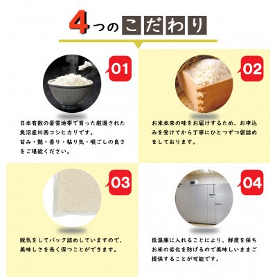 【発送月固定定期便】定期6か月　新潟県魚沼産川西こしひかり2合×10全6回
