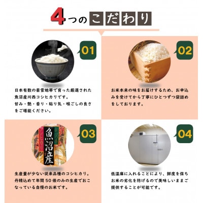 【発送月固定定期便】【10月下旬より発送予定】従来品種　数量限定　魚沼産コシヒカリ　万寿5kg全3回