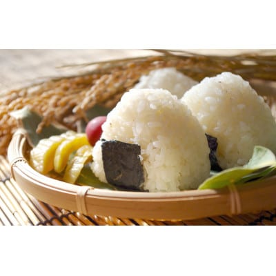 【発送月固定定期便】【10月下旬より発送予定】従来品種　数量限定　魚沼産コシヒカリ　万寿5kg全6回