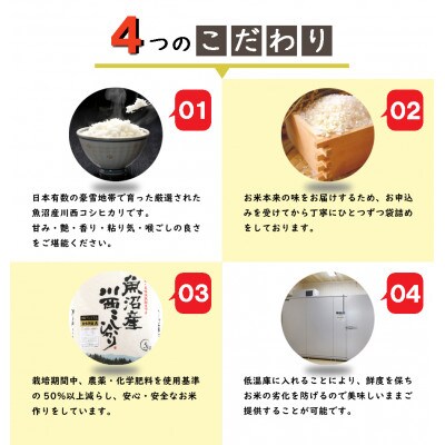 【発送月固定定期便】【10月下旬より発送予定】【無洗米】新潟県魚沼産川西こしひかり1kg　全12回