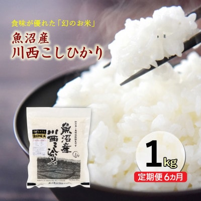 【発送月固定定期便】【10月下旬より発送予定】新潟県魚沼産川西こしひかり1kg全6回