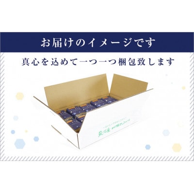 【毎月定期便】ゆきまち米2合(300g)×10個[厳選された新潟県魚沼産コシヒカリ]全6回