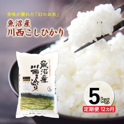 【毎月定期便】新潟県魚沼産　川西こしひかり　精米　5kg全12回