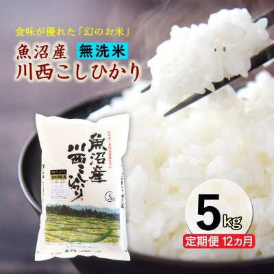 【毎月定期便】【無洗米】新潟県魚沼産 川西こしひかり　5kg全12回