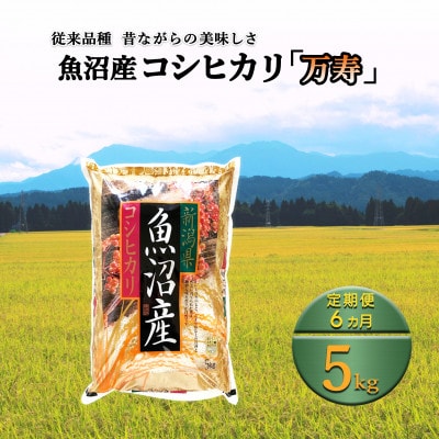 【毎月定期便】数量限定　従来品種　魚沼産コシヒカリ　万寿　5kg全6回