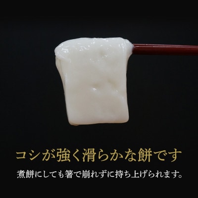 魚沼産こがねもち100%使用(令和4年産)越路もち950g×4