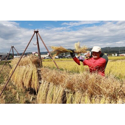【令和5年産】天日干し「あんしん魚沼産コシヒカリ」精米5キロ(障がい者支援の返礼品)