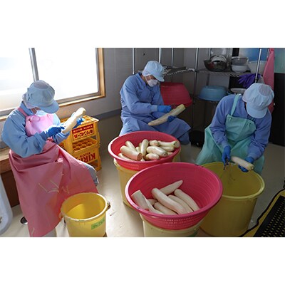 【毎月定期便】サラダ専用切り干し大根「ドライJラディッシュ」2袋【障がい者支援の返礼品】全6回