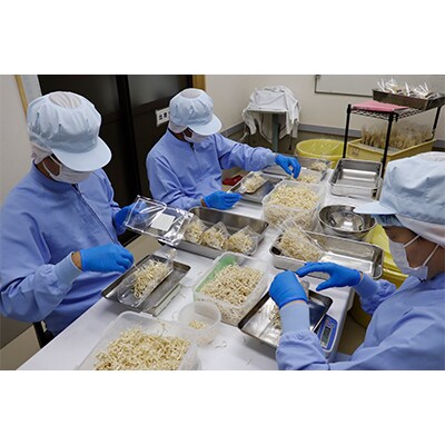 【毎月定期便】サラダ専用切り干し大根「ドライJラディッシュ」2袋【障がい者支援の返礼品】全12回