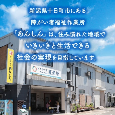 【3ヵ月毎定期便】ダブルトイレットペーパー100「包装なしWC3」【障がい者支援の返礼品】全3回