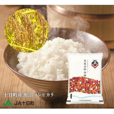 【雪冷やし貯蔵】十日町産魚沼コシヒカリ 米屋五郎兵衛 精米5kg