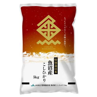 【令和7年産新米】特栽米 魚沼こしひかり 精米 5kg