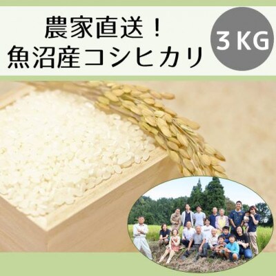 農家直送◇魚沼産コシヒカリ「山清水米」精米3kg