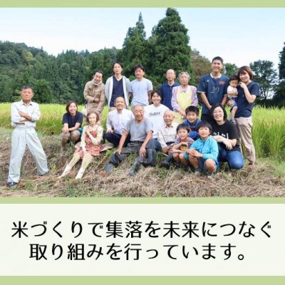 農家直送◇魚沼産コシヒカリ「山清水米」精米3kg