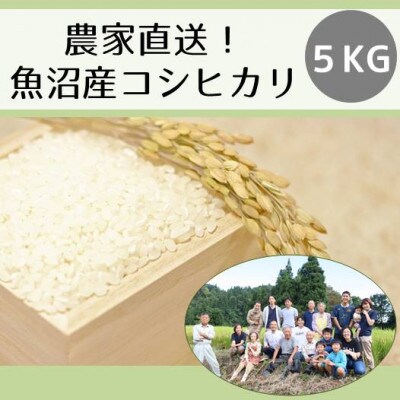 農家直送◇魚沼産コシヒカリ「山清水米」精米5kg
