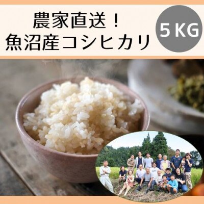 農家直送◇魚沼産コシヒカリ「山清水米」玄米5kg