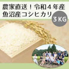 新潟県魚沼産コシヒカリ「山清水米」精米3kg