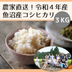 新潟県魚沼産コシヒカリ「山清水米」玄米3kg