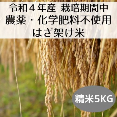 新潟県魚沼産コシヒカリ/栽培期間中農薬・化学肥料不使用「山清水米」はざ架け米/精米5kg