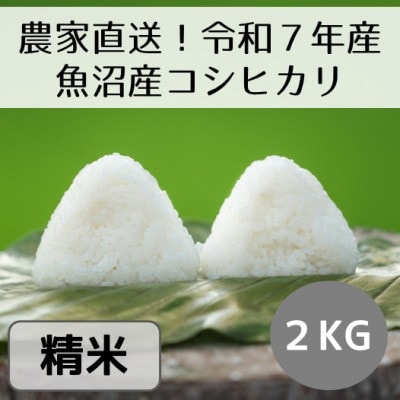 【令和7年産・先行受付】新潟県魚沼産コシヒカリ「山清水米」精米2kg