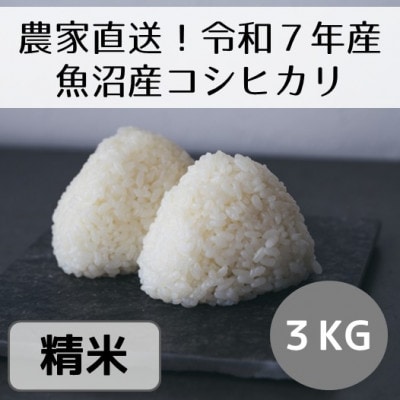【令和7年産・先行受付】新潟県魚沼産コシヒカリ「山清水米」精米3kg