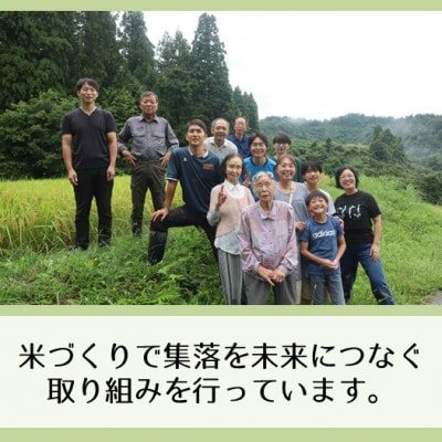 【令和8年産】新潟県魚沼産コシヒカリ「山清水米」精米3kg