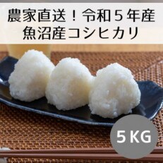 【新米令和5年産・先行受付】新潟県魚沼産コシヒカリ「山清水米」精米5kg