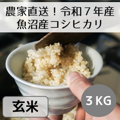 【令和7年産・先行受付】新潟県魚沼産コシヒカリ「山清水米」玄米3kg