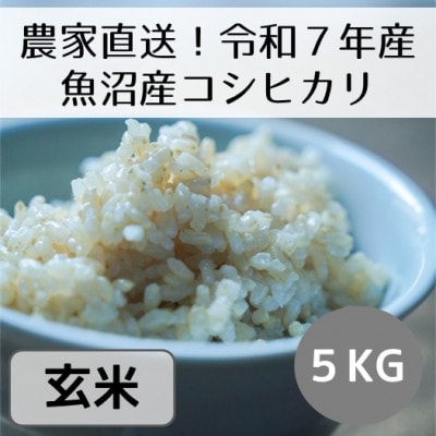 【令和7年産・先行受付】新潟県魚沼産コシヒカリ「山清水米」玄米5kg