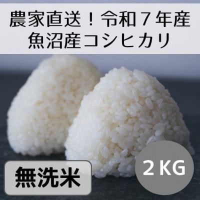 【令和7年産・先行受付】新潟県魚沼産コシヒカリ「山清水米」無洗米2kg