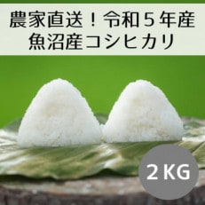 【令和5年産新米】新潟県魚沼産コシヒカリ「山清水米」精米2kg