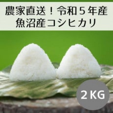 【令和5年産】新潟県魚沼産コシヒカリ「山清水米」精米2kg