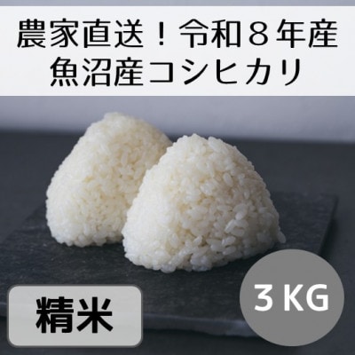 【先行予約・令和8年産】新潟県魚沼産コシヒカリ「山清水米」精米3kg
