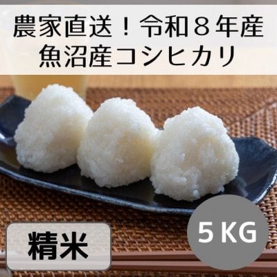 【先行予約・令和8年産】新潟県魚沼産コシヒカリ「山清水米」精米5kg