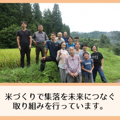 【先行予約・令和8年産】新潟県魚沼産コシヒカリ「山清水米」玄米2kg