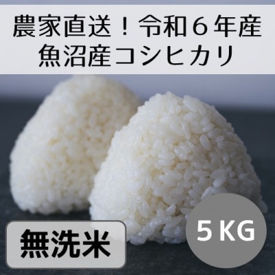 【令和6年産】新潟県魚沼産コシヒカリ「山清水米」無洗米5kg