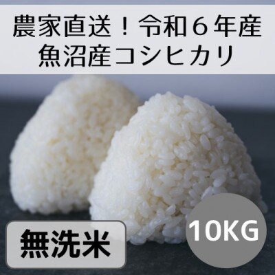 【令和6年産】新潟県魚沼産コシヒカリ「山清水米」無洗米10kg