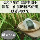【令和7年産・先行受付】新潟県魚沼産コシヒカリ「山清水米」はざ架け米(精米)3kg
